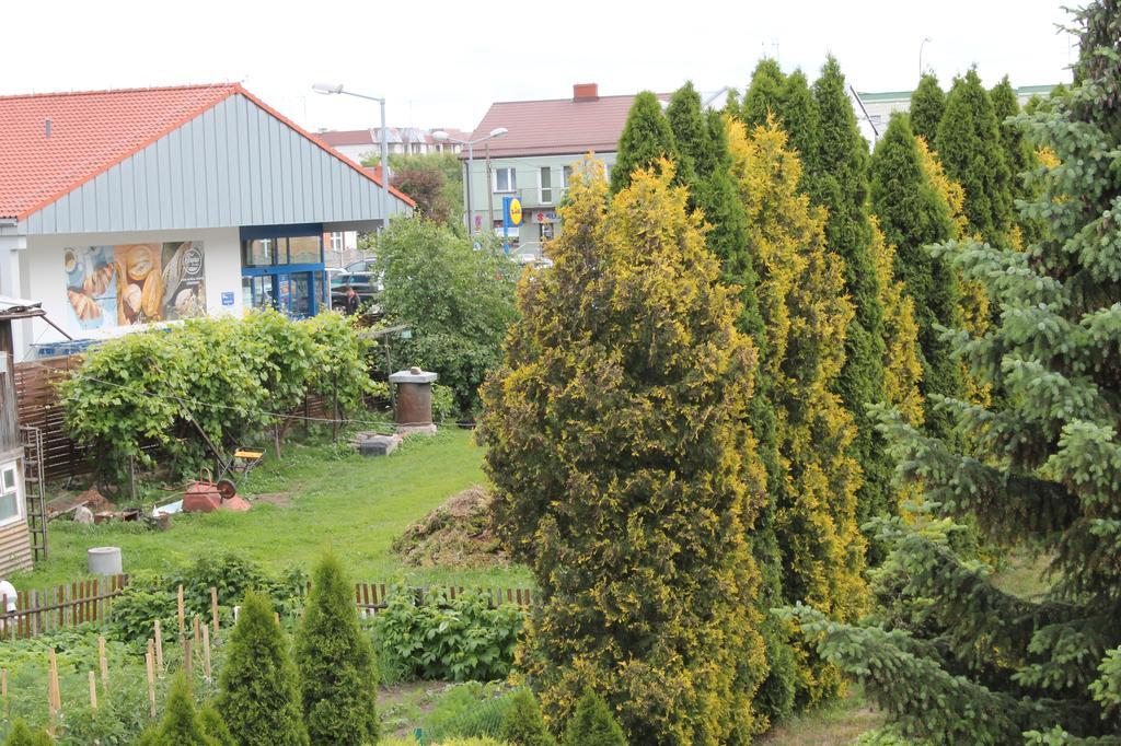 Apartament U Marzenki Аугустов Екстериор снимка